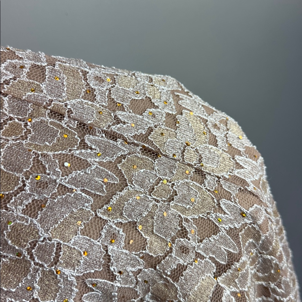 NWT Candalite Lace Dress Size 1X Sparkle Sequin - Picture 11 of 14